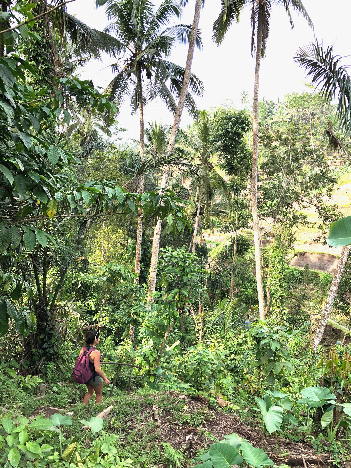 Flor adentrándose en la selva, simbolizando el viaje de autoconocimiento, confianza y propósito personal – Espacio Medrar